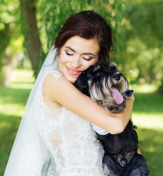 Wedding dog chaperone - silver package