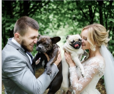 Dogs at your wedding