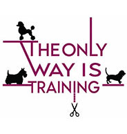 The Only Way Is Training logo